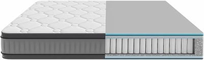 ecotec Flow 8800 Hybrid