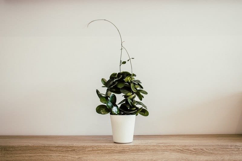 Consejos para mantener la casa fresca en verano