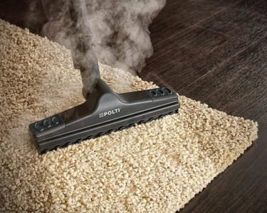 Vaporeta para alfombras