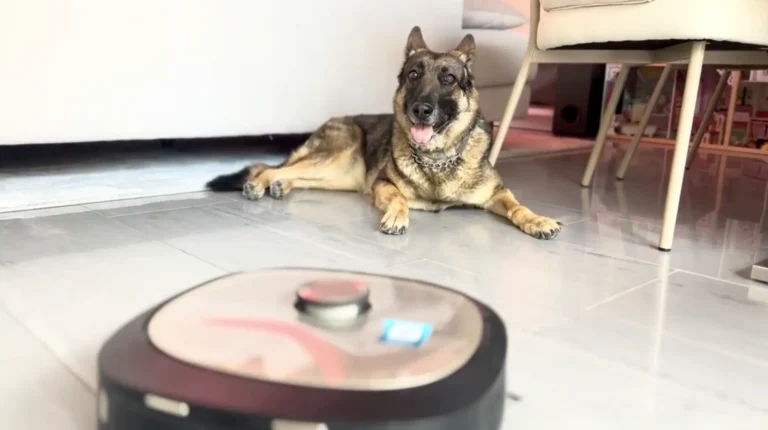 probando el sistema de detección de mascotas