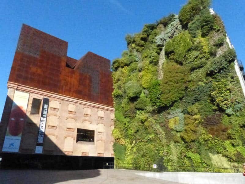 ¿Para qué sirve un jardín vertical?