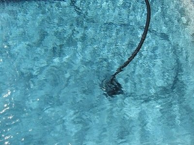 ¿Por qué el limpiafondos aspira poco?