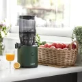Extractor de jugo Hurom H320N
