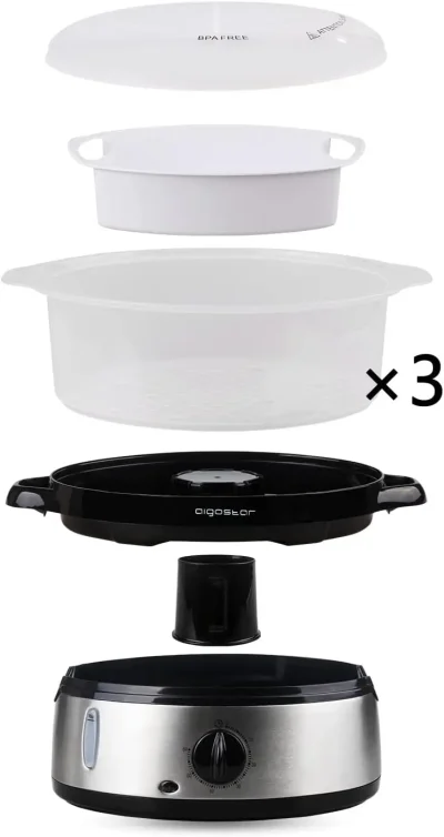 Vaporera Aigostar Fitfoodie Steel