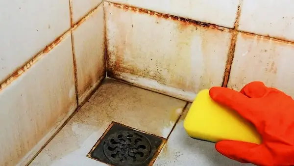 Les secrets des plombiers pour en finir avec les moisissures sur les joints de carrelage de la salle de bain